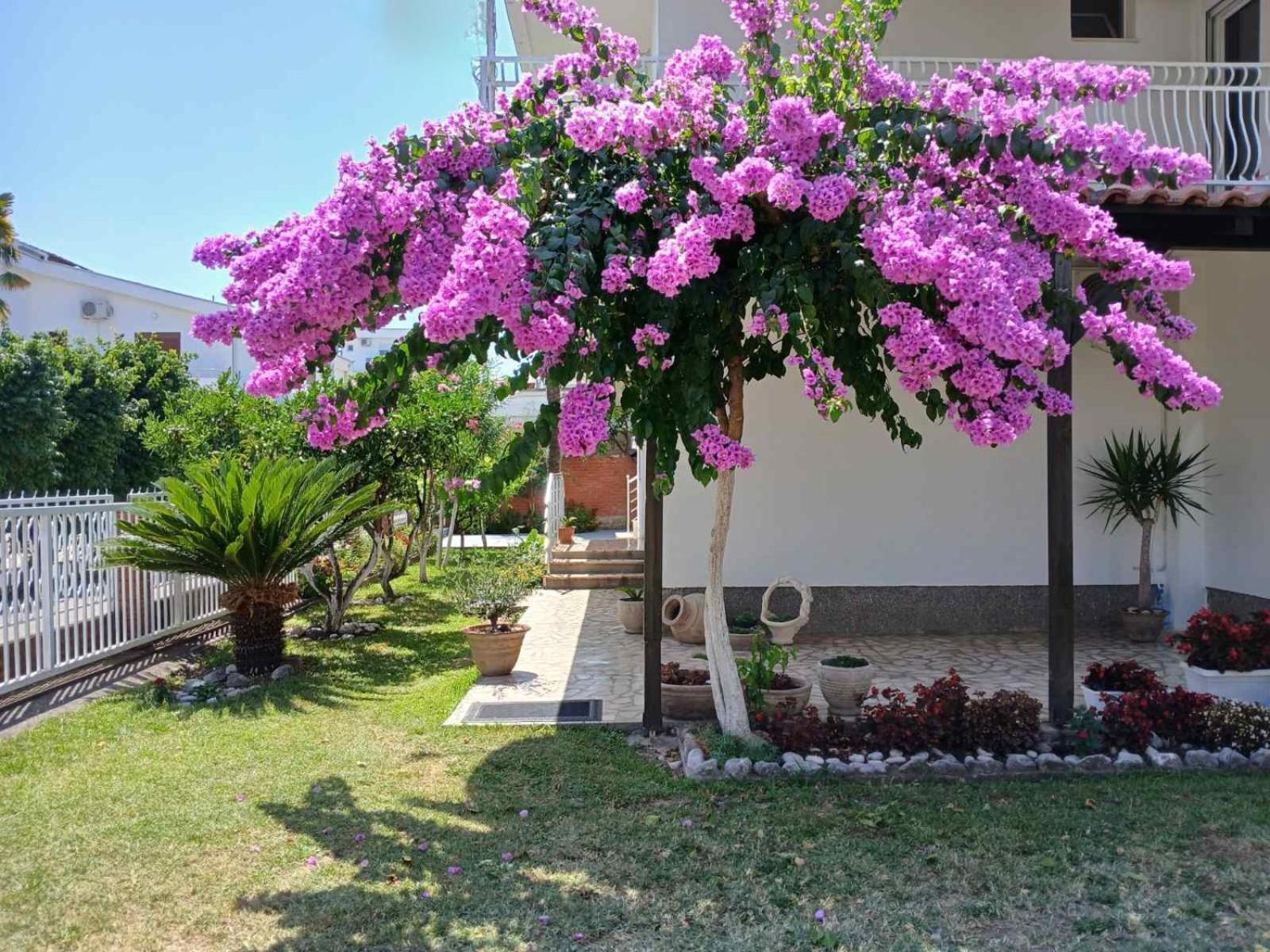 Vila Adriatik อุลซิน ภายนอก รูปภาพ