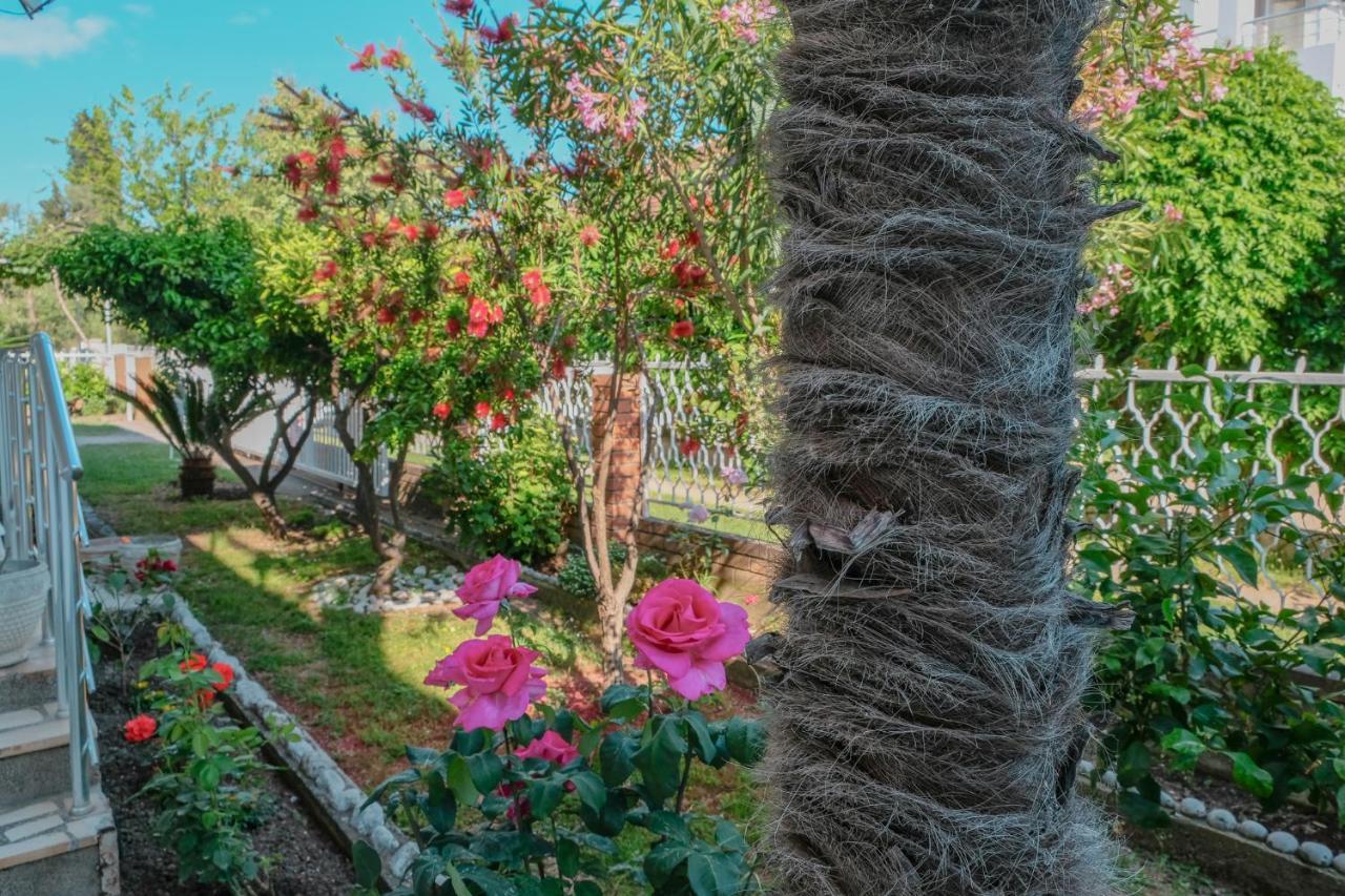 Vila Adriatik อุลซิน ภายนอก รูปภาพ